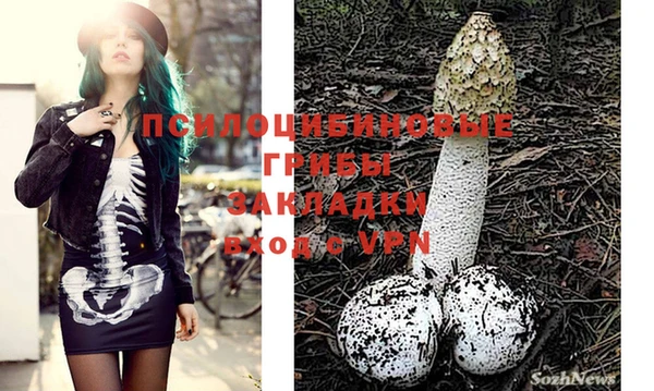мефедрон Новозыбков